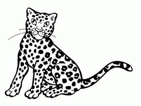 How to draw a chibi is easy and simple in this. Cheetah clipart easy, Cheetah easy Transparent FREE for ...