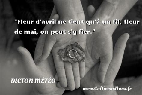 Proverbe La Vie Ne Tient Qu à Un Fil Gratuit Citationmeme