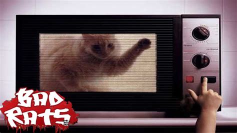 Cat In Microwave Youtube