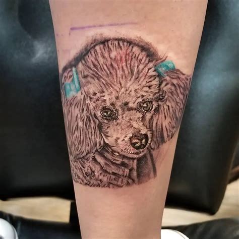 The 40 Best Poodle Dog Tattoo Ideas The Paws