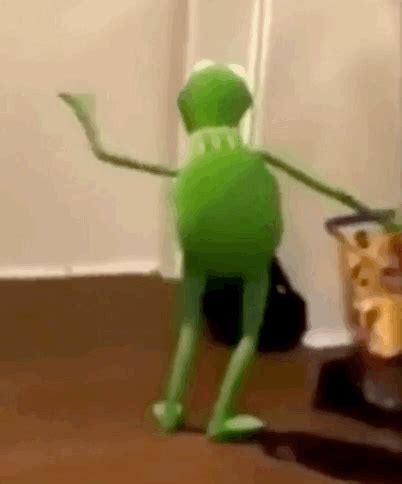 kermit gifs find share  giphy