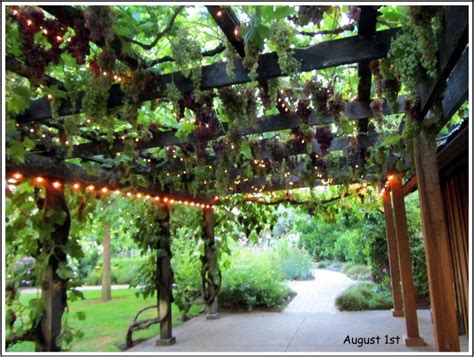 Led Lights Vines Pergola Vine Trellis Grape Arbor Garden Vines
