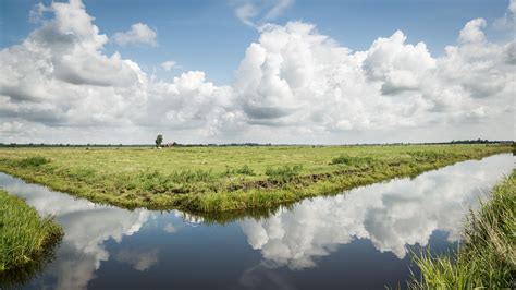 Polder Arkemheen Land Water And Clouds In Dutch Polder Arkemheen