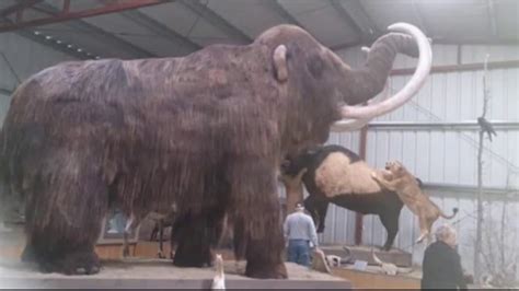 Historical Animal The Mammoth Found Alive Youtube
