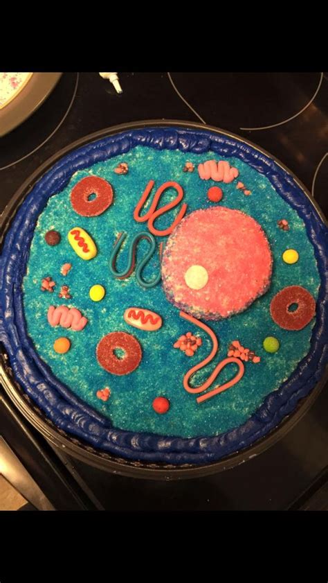 Edible Food Animal Cell Project Idea Tasted As Awesome As It Looks
