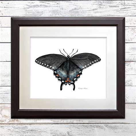 Swallowtail Butterfly Art Print Complementary Prints Black Etsy Uk