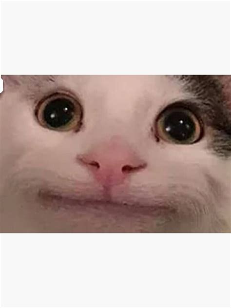 Polite Cat Meme Funny Cat Meme Mask By Elevengraphics