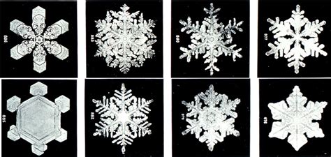 Snowflakes Noaa How Do Snowflakes Form How Are Snowflakes Formed