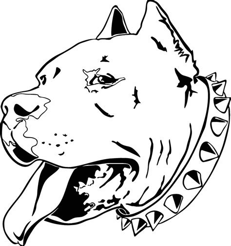 Pitbull Dog Drawing At Getdrawings Free Download