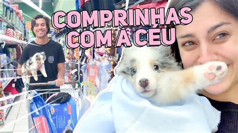 Comprinhas Pet Para Minha Cachorrinha 🐶 Nah Cardoso Youtube