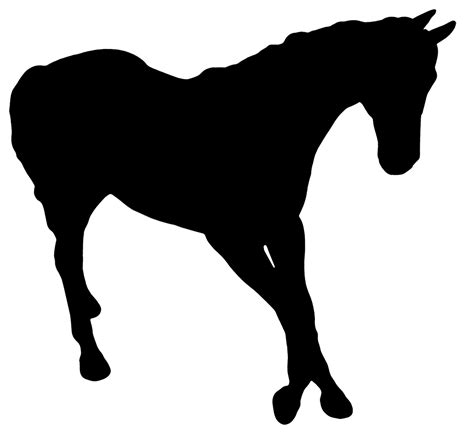 Horse Silhouette Related Keywords And Suggestions Horse Silhouette Long