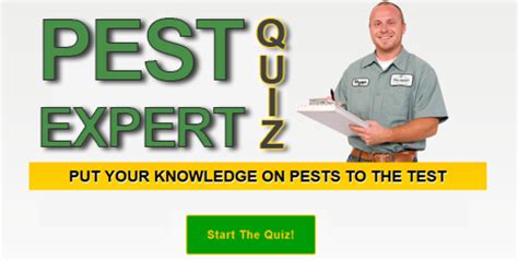 They are a bloodsucking insect and a carrier of diseases such as the bubonic plague that killed over a quarter of the european. Pest Expert Quiz: Are You Able To Protect Your Home From ...