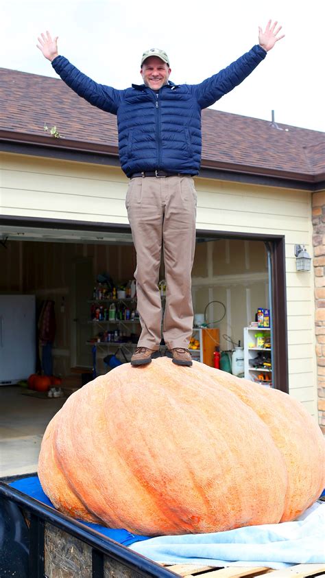 Wyoming Man Grows 1491 Pound Pumpkin Breaks State Record Ktsm 9 News