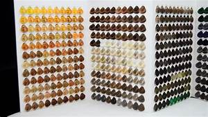 Cosmetics Hair Color Chart For Salon Hair Dyes Hair Color Shade Swatch