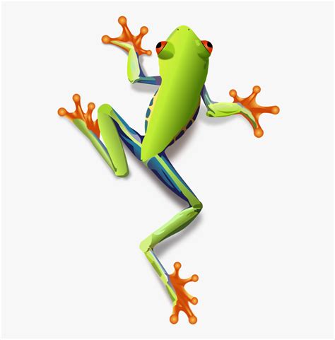 Green Frog Clip Art