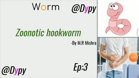 Zoonotic Hookworm Worm Part 3 Youtube