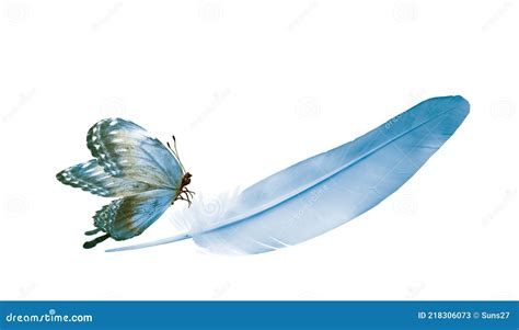 Beautiful Color Feather And Butterfly Isolated Stock Illustration