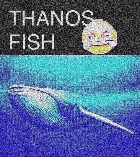 Thanos Fish Thanos Fish Thanos Fish Thanos Fish Thanos Fish Thanos Fish