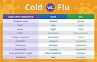 Is It a Cold or the Flu? Here Are the Differences