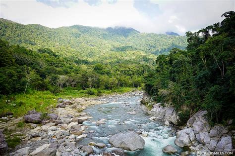 6 Reasons To Visit Pico Bonito National Park Honduras Synesy