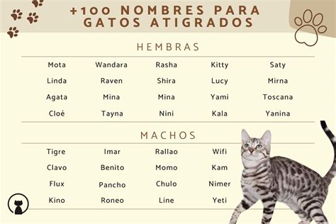 Despedida Falso Jurar Nombres De Gatos Negros Famosos Presunto Exenci N Acidez