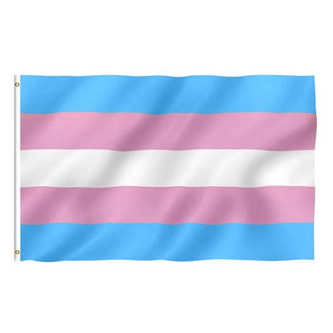 Transgender Pride Flag Rainbow Transgender Pride Flag Gay Lesbian Flag