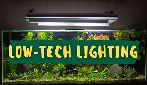 Using Led Flood Lights For Planted Aquarium Shelly Lighting