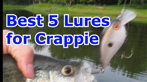 Top 5 Best Crappie Fishing Lures Baits And Jigs Fishing