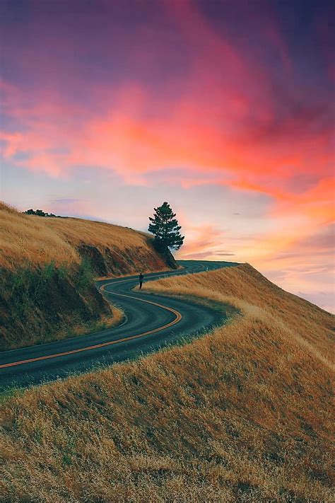 Sunset Landscape Hill Nature Road Travel Tree View Hd Phone