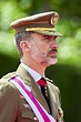 King Felipe VI of Spain - King Felipe VI of Spain Photos - Spanish ...
