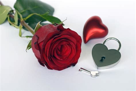 Love Rose Flower Download The Flowers Of Love Spells Ask Mystic