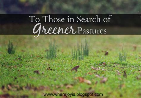 Where Joy Is To Those In Search Of Greener Pastures
