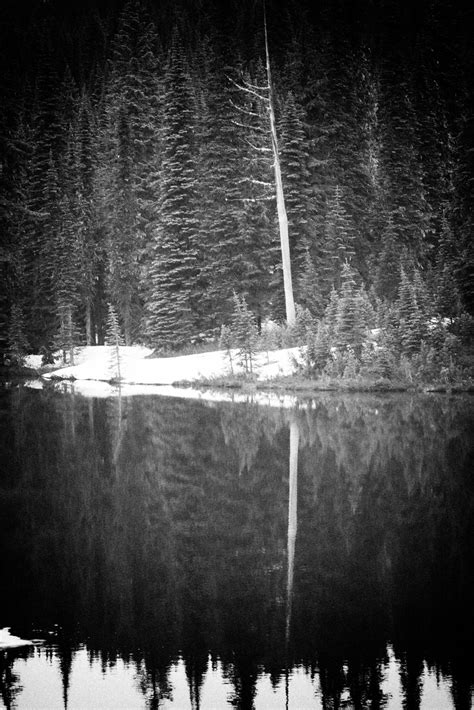 Free Images Light Black And White Night Ice Reflection Darkness
