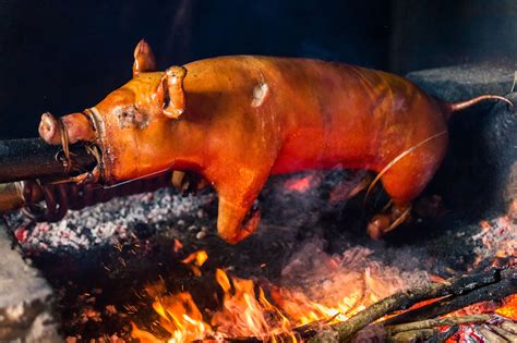 How Do You Make Cochinillo Asado A Spanish Roast Suckling Pig