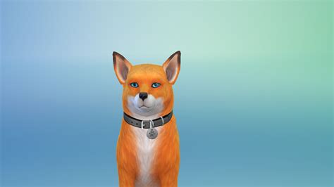 Sims 4 Wearable Pet Collars Request And Find The Sims 4 Loverslab