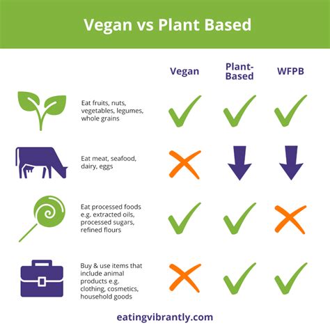 Vegan Vs Plant Based Are They The Same Thing