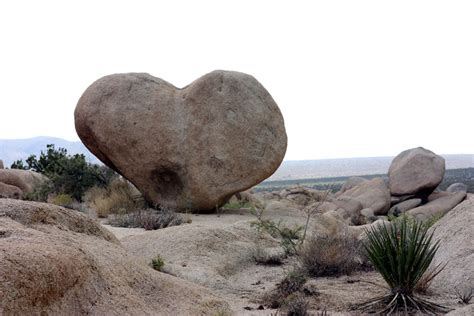 Amazing Hearts Shaped In Nature