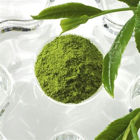 Harmony Organic Matcha Green Tea