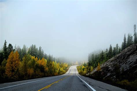 Foggy Roadway With Trees On The Side In Jasper National Park Alberta