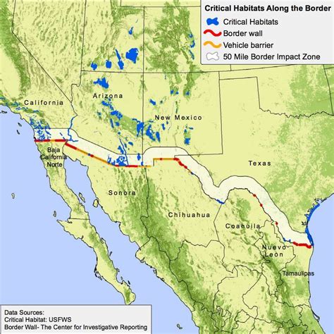 Trumps Border Wall Could Kill Texas Butterfly Sanctuary Iflscience