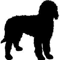 Golden retriever / toy or miniature poodle mixed breed dogs. Image result for goldendoodle silhouette | Labradoodle art, Dog silhouette, Goldendoodle