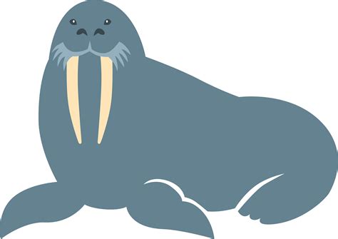 Best Walrus Clipart Png Transparent Background Free Download Clip