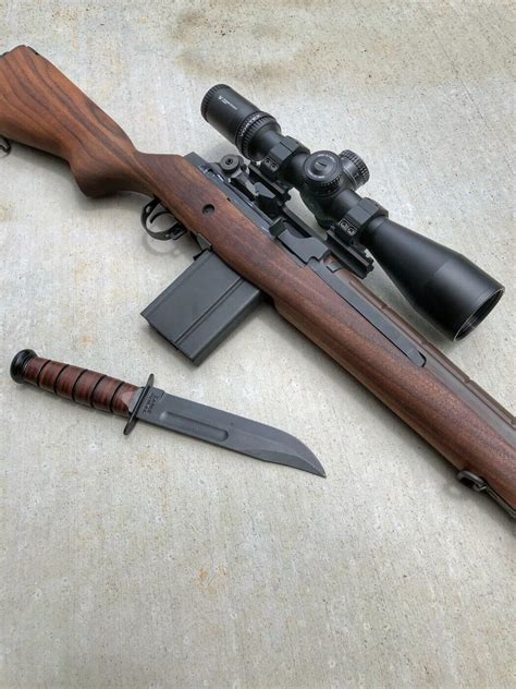 Springfield Armory M1a Loaded Hot Sex Picture