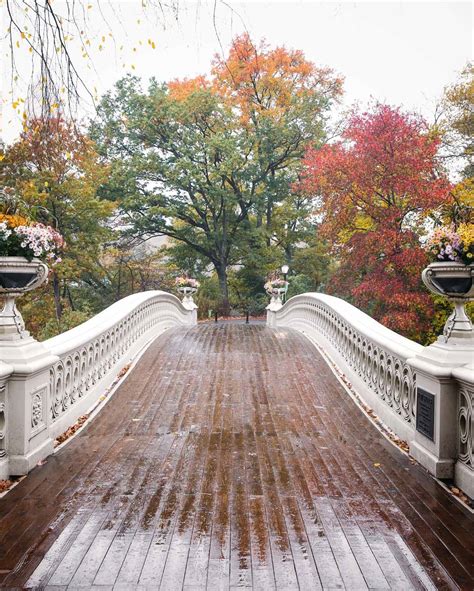 Bow Bridge In Central Park Explorest