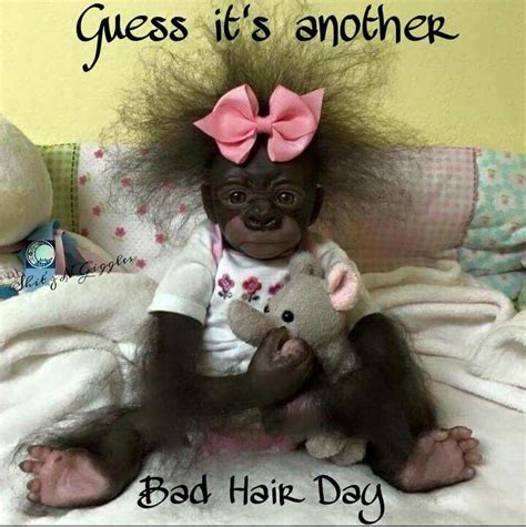 Bad Hair Day Good Morning Funny Friday Quotes Funny Funny Animal