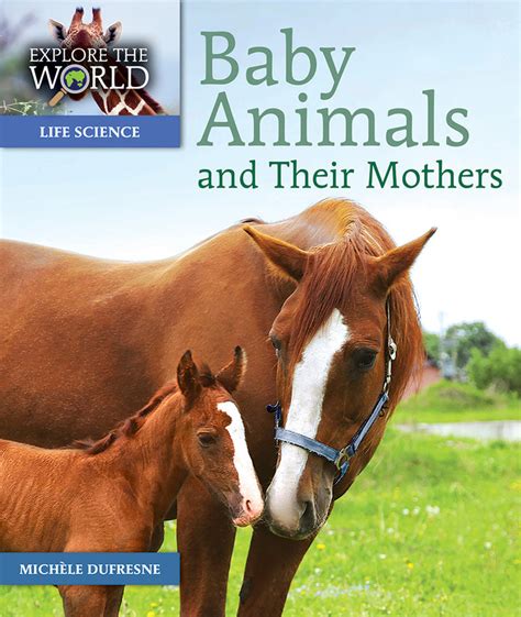 Baby Animals And Their Mothers Pioneer Valley Books