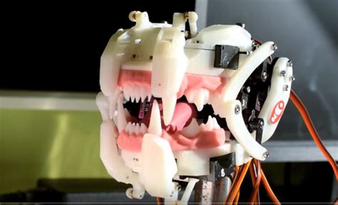 Take A Walk Through Of Will Cogleys New Animatronic Mouth The Grue