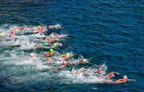 Ocean Swimming Race Stock Photo Download Image Now Istock