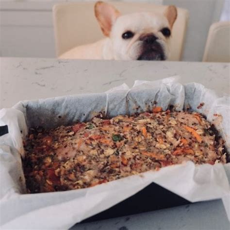 Recipe: Turkey Veggie Meatloaf for Dogs - Where's The Frenchie?