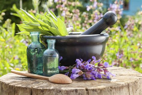 Using Medicinal Herbs In Gardens: Learn About Plants With Healing Effects